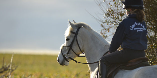 Riding Connemara Pony
